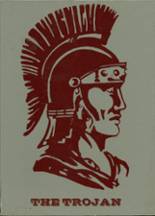 Troy High School 1984 yearbook cover photo