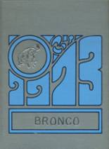1973 Simpson High School Yearbook from Simpson, Louisiana cover image