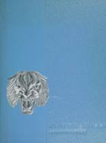 1973 South Hills High School Yearbook from Pittsburgh, Pennsylvania cover image
