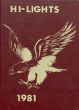 1981 Hadley-Luzerne High School Yearbook from Lake luzerne, New York cover image