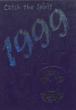 1999 Dryden High School Yearbook from Dryden, New York cover image
