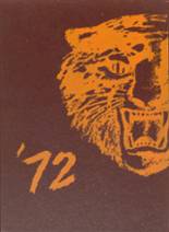 Laurens High Schoool 1972 yearbook cover photo