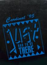 1995 Bison High School Yearbook from Bison, South Dakota cover image