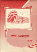 Stapleton High School 1958 yearbook cover photo