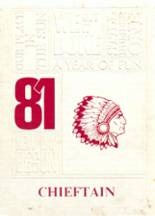 Southern Cayuga Central High School 1981 yearbook cover photo