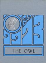 Ooltewah High School 1973 yearbook cover photo