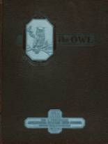 1933 Dickinson High School Yearbook from Jersey city, New Jersey cover image