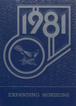 Lancaster High School 1981 yearbook cover photo