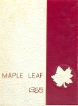 Maple Heights High School 1965 yearbook cover photo