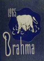 Macarthur High School 1965 yearbook cover photo