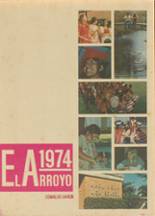 Harlingen High School 1974 yearbook cover photo
