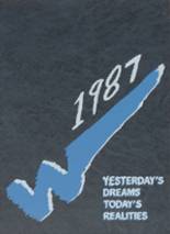 Woodbury High School 1987 yearbook cover photo