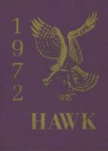 New Berlin Central High School 1972 yearbook cover photo