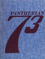 1973 Saegertown High School Yearbook from Saegertown, Pennsylvania cover image