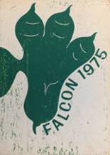 Lake Dallas High School 1975 yearbook cover photo