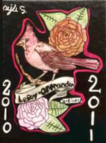 2011 Leroy-Ostrander High School Yearbook from Le roy, Minnesota cover image