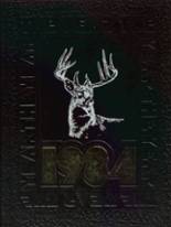 Deer Park High School 1984 yearbook cover photo