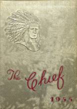 Central High School 1955 yearbook cover photo