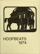 North High School 1974 yearbook cover photo