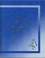 1987 Raymond Central High School Yearbook from Raymond, Nebraska cover image