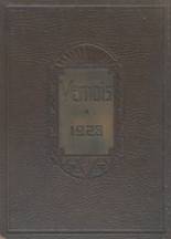 Mt. Vernon Township High School 1928 yearbook cover photo