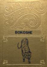 Bokoshe High School 1980 yearbook cover photo
