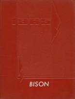 1965 Buffalo High School Yearbook from Buffalo, Missouri cover image