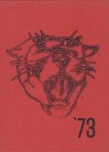 1973 Judsonia High School Yearbook from Judsonia, Arkansas cover image