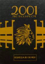 Keshequa High School 2001 yearbook cover photo