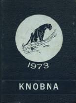 Knob Noster High School 1973 yearbook cover photo