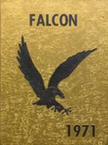 1971 Brownsville High School Yearbook from Brownsville, Pennsylvania cover image