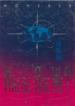 1993 Momence High School Yearbook from Momence, Illinois cover image