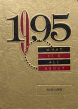 1995 Morrisonville High School Yearbook from Morrisonville, Illinois cover image