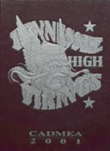 Tennessee High School 2001 yearbook cover photo
