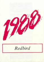 Ellendale High School 1988 yearbook cover photo