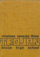 Bruce High School 1973 yearbook cover photo