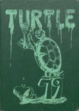 Turtle Lake High School 1979 yearbook cover photo