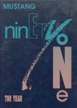 North Winneshiek High School 1991 yearbook cover photo