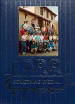 Sawyer High School 1988 yearbook cover photo