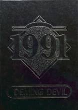 Deming High School 1991 yearbook cover photo