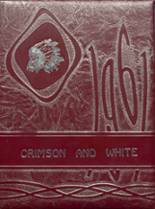 Afton Central School 1961 yearbook cover photo