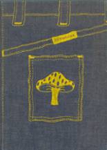 1975 Pacolet High School Yearbook from Pacolet, South Carolina cover image