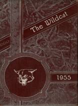 Calallen High School 1955 yearbook cover photo