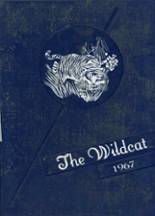 John J. Wright Consolidated School 1967 yearbook cover photo