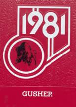 1981 Grayville High School Yearbook from Grayville, Illinois cover image