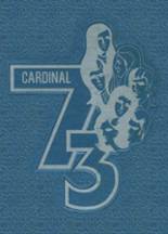 Collinsville High School 1973 yearbook cover photo