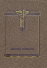Superior High School 1920 yearbook cover photo