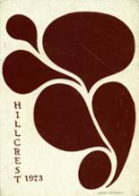 Alvirne High School 1973 yearbook cover photo