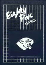Spring Lake Park High School 1985 yearbook cover photo