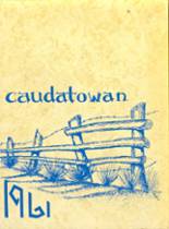 1961 Ridgefield High School Yearbook from Ridgefield, Connecticut cover image